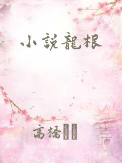 小说龙根