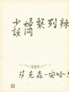 少妇系列辣文小说网