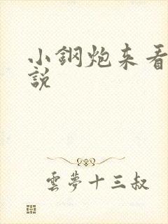 小钢炮来看我小说