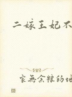二嫁王妃不好惹