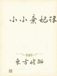 小小弃妃很倾城