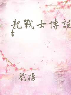 龙战士传说txt
