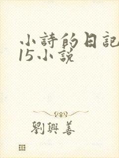 小诗的日记1一15小说