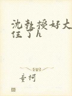 沈教授好大含不住了h