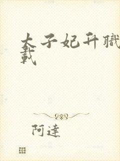 太子妃升职记下载