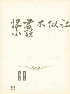 恨君不似江楼月小说