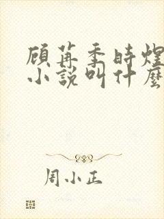 顾苒季时煜电竞小说叫什么名字