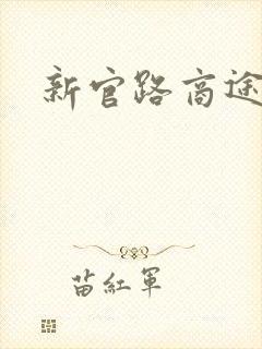 新官路商途