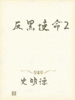 反黑使命2