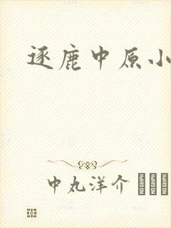 逐鹿中原小说