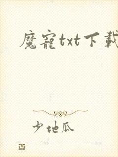 魔宠txt下载