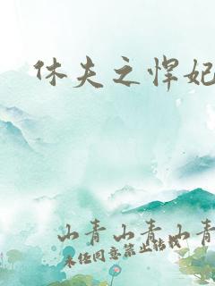 休夫之悍妃当道