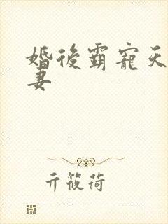 婚后霸宠天价小妻