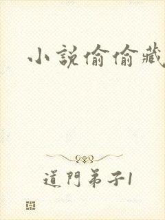 小说偷偷藏不住