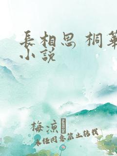 长相思 桐华 小说