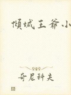 倾城王爷小小妃