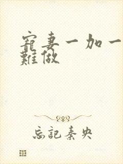 宠妻一加一老婆难做