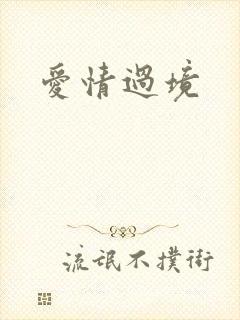 爱情过境