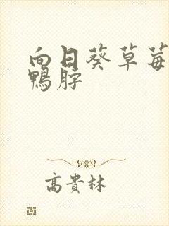 向日葵草莓丝瓜鸭脖