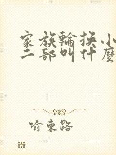 家族轮换小说第二部叫什么名字