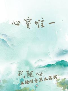 心宝唯一