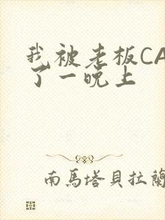 我被老板CAO了一晚上