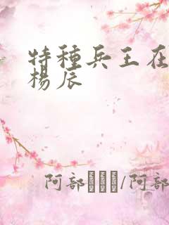 特种兵王在都市杨辰