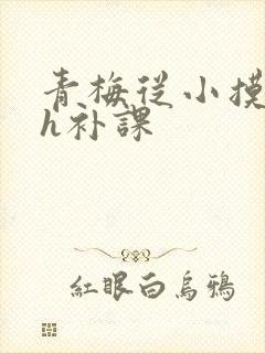 青梅从小摸到大h补课