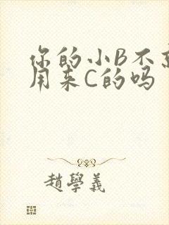 你的小B不就是用来C的吗