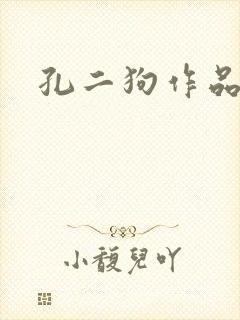 孔二狗作品