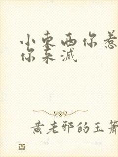 小东西你惹的火你来灭