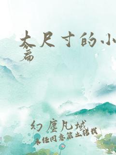 大尺寸的小说短篇