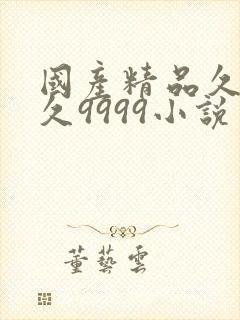 国产精品久久久久9999小说