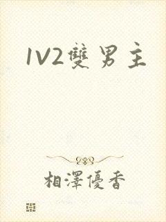 1V2双男主