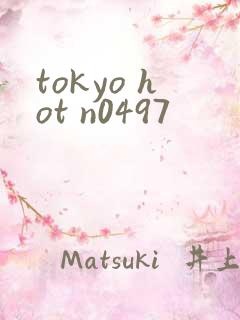 tokyo hot n0497