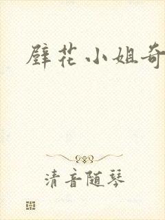 壁花小姐奇遇记