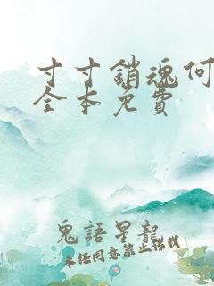 寸寸销魂何生祥全本免费