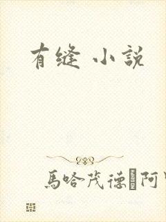 有缝 小说