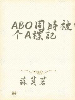 ABO同时被四个A标记