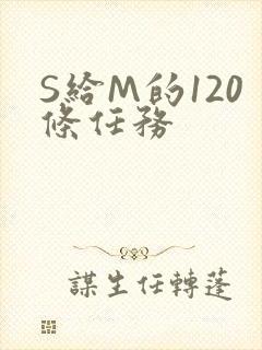 S给M的120条任务