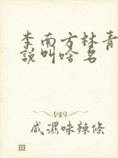 李南方林青青小说叫啥名