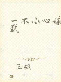 一不小心嫁给总裁