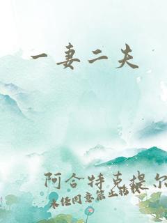 一妻二夫