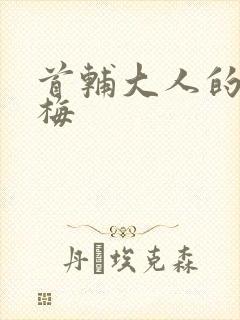 首辅大人的小青梅