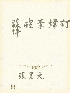 苏醒李炜打架事件