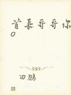 首长哥哥你好po