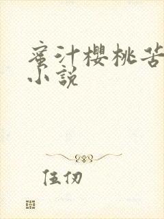 蜜汁樱桃苦咖啡小说