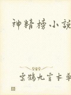 神精榜小说