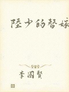 陆少的替嫁宠妻