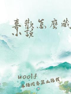 喜欢怎么藏不住小说